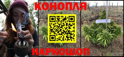 ешки Гатчина