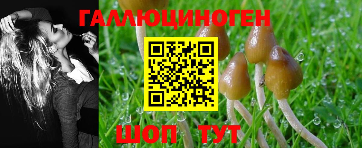 Галлюциногенные грибы Psilocybine cubensis Мыски